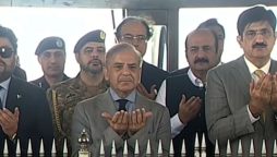 PM Shehbaz pays homage to father of nation