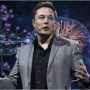 Elon Musk makes BIG statement regarding AI