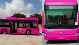 Pink Bus Service Karachi Routes and Timings