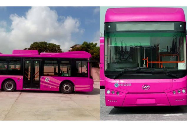 Pink Bus Service Karachi Routes and Timings