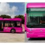 Pink Bus Service Karachi Routes and Timings