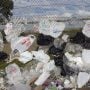 Punjab set to ban plastic bags from June 6