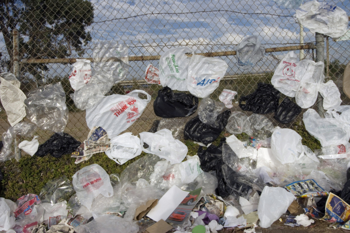Punjab set to ban plastic bags from June 6