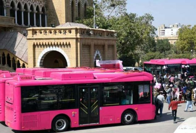 pink bus service route