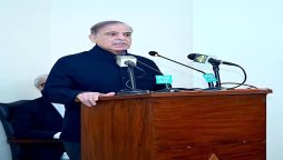 PM assures foolproof security arrangements for Chinese nationals