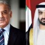 Pakistan, UAE vow to enhance bilateral ties in multifaceted areas