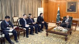 President Zardari for stronger economic, cultural ties with China