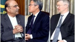 Chinese, Russian Ambassadors call on President Zardari