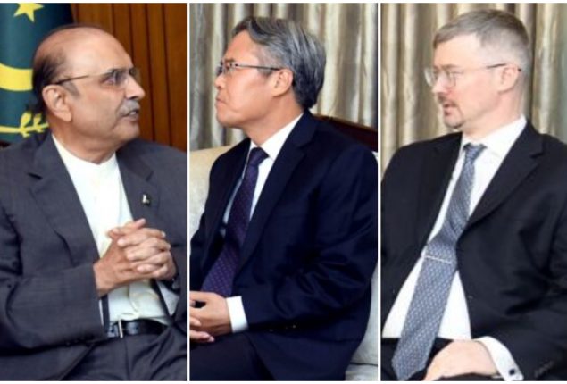 Chinese, Russian Ambassadors call on President Zardari