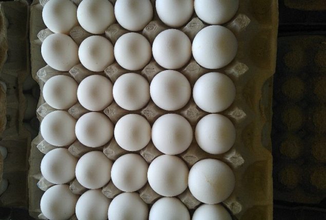 Egg price big drops in Pakistan