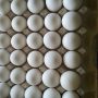 Egg price big drops in Pakistan