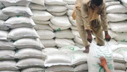 Flour prices decrease in Punjab; check details here