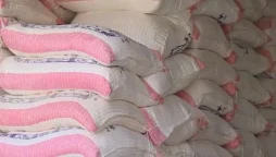 Lahore flour prices drop for 20 kg bags