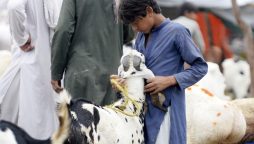 Eid al-Adha 2024 expected date in Pakistan