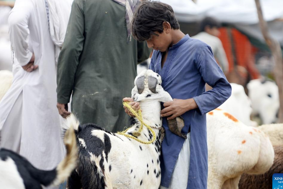 Eid al-Adha 2024