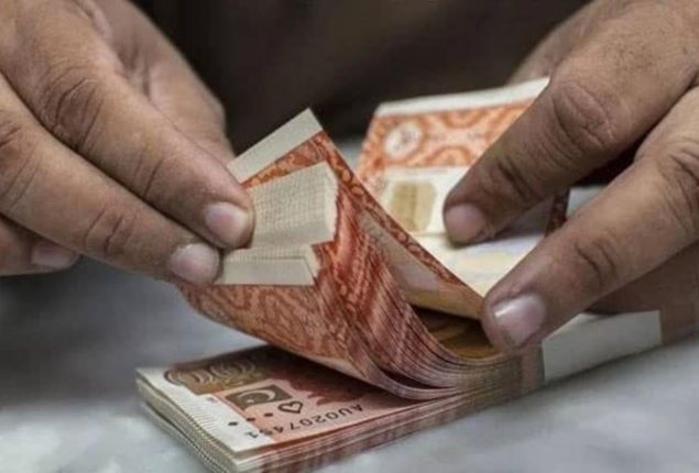 Government Employee Salary Increase Announced in Budget 2024-25