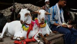 Eidul Adha 2024 likely to fall on this date