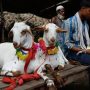 Eidul Adha 2024 likely to fall on this date