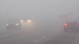 Fog Alert for Motorists in Abu Dhabi