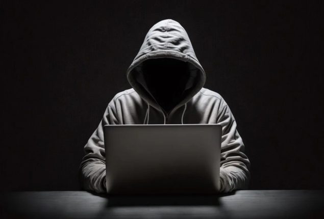 Federal Govt establishes new agency to tackle cybercrime cases   