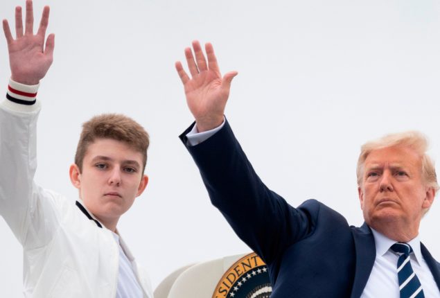 Donald Trump's youngest son entered politics with the Republican convention