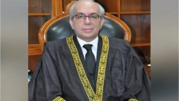 Chief justice