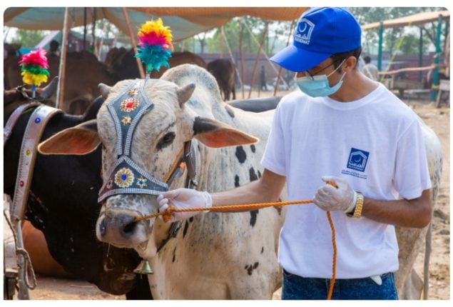 Alkhidmat Qurbani Hissa 2024: Prices, Reservations, & Donation Details!