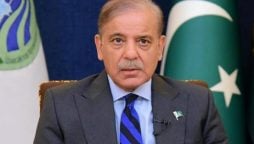 Shehbaz Sharif nominated acting PML-N president