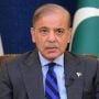 PM Shehbaz Sharif nominated acting party president