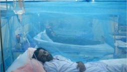 Punjab reports 149 new dengue cases in 24 hours