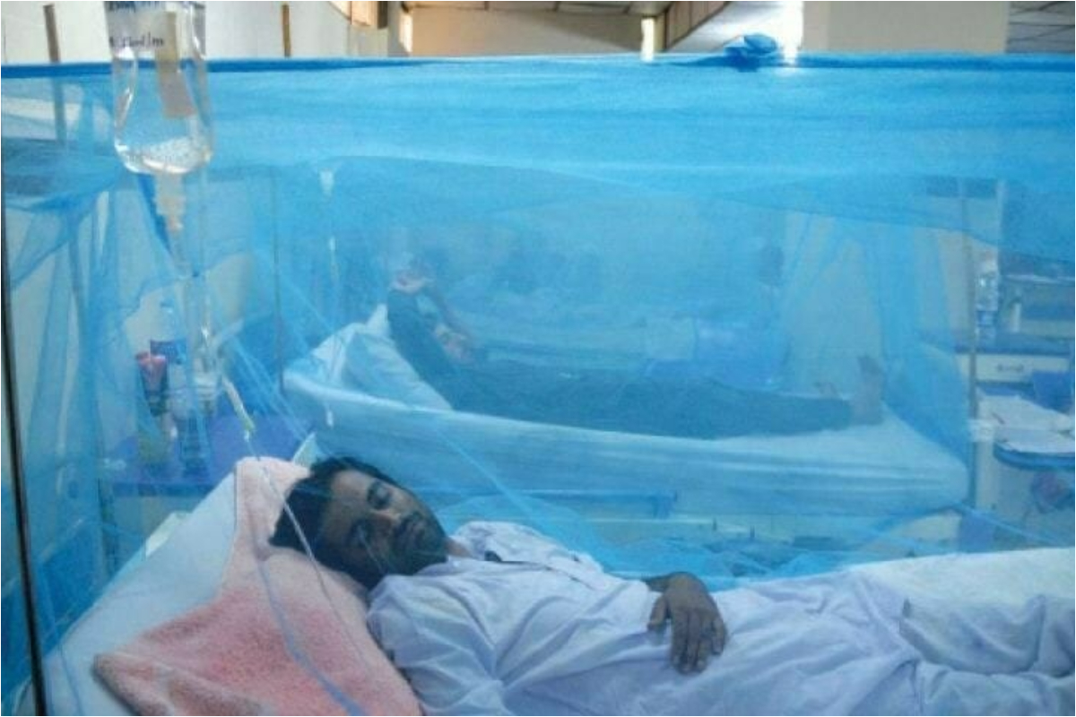 Punjab reports 149 new dengue cases in 24 hours