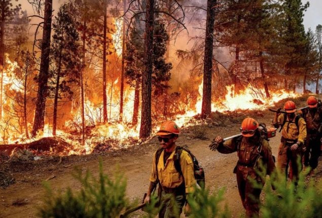 PM directs urgent actions to extinguish margalla hills fire