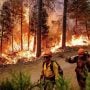 PM directs urgent actions to extinguish margalla hills fire