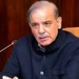 PM Shehbaz urges auto industry to start local manufacturing