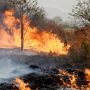 PAF, Navy supporting civic agencies to extinguish fire at Margalla Hills