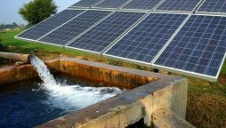 Punjab introduces ‘agriculture tube wells solarization project’; details here
