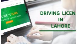 Punjab Driving License Online Verification 2024: ﻿Details Inside!