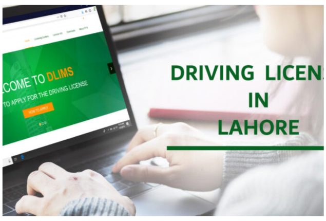 Punjab Driving License Online Verification 2024: ﻿Details Inside!