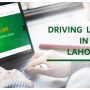 Punjab Driving License Online Verification 2024: ﻿Details Inside!