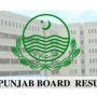 BISE Punjab Matric Result 2024 Expected Date