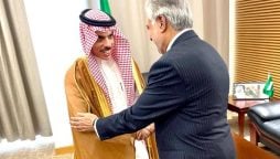 FM Ishaq Dar meets with Saudi counterpart on sidelines of 15th OIC meeting