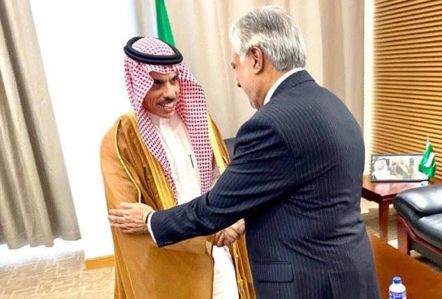 FM Ishaq Dar meets with Saudi counterpart on sidelines of 15th OIC meeting