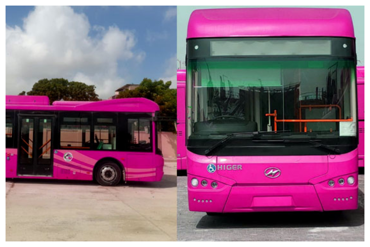 Sindh Govt Introduces New Buses to Enhance Karachi's Public Transport