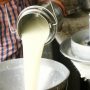 Karachi braces for milk price increases; dairy farmers issue alert