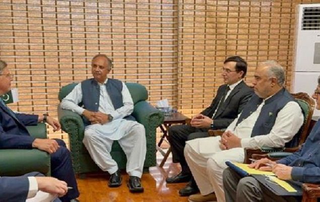 PTI leaders, US envoy discuss democracy, rule of law in Pakistan