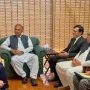 PTI leaders, US envoy discuss democracy, rule of law in Pakistan