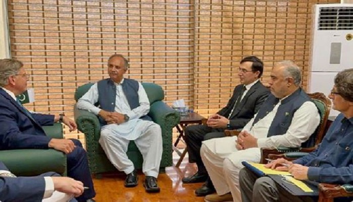 PTI leaders, US envoy discuss democracy, rule of law in Pakistan