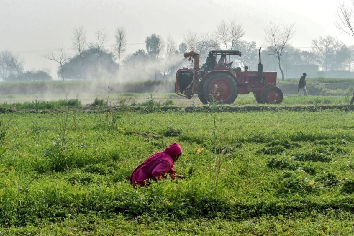 Punjab Kisan Card Online