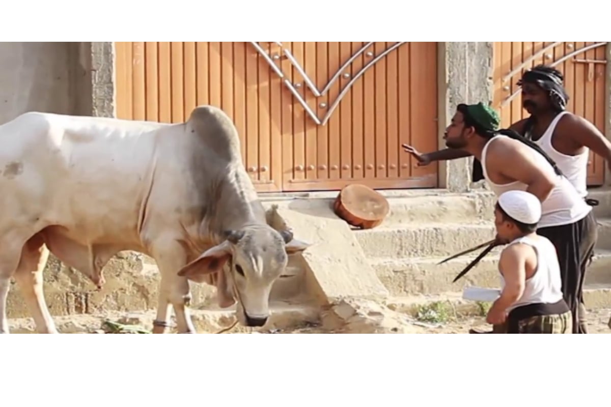 Eid ul Adha 2024: Qasai Booking and Services in Karachi