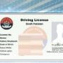 Sindh Police launches online driving license service